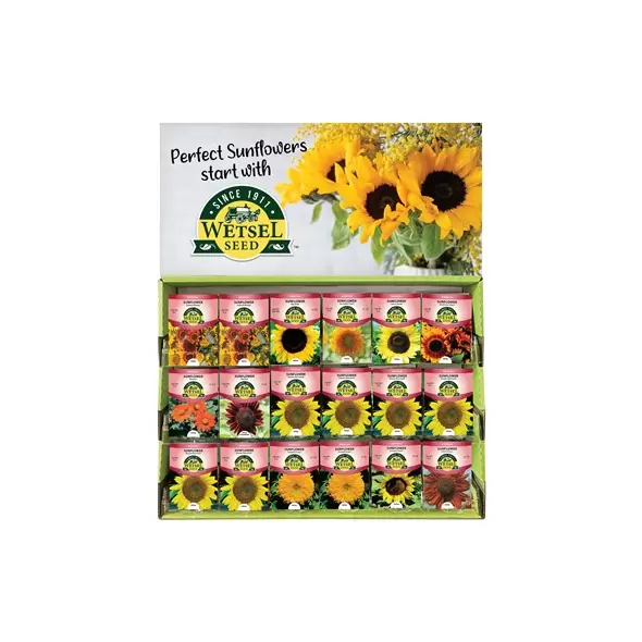 Wetsel 200PKT Sunflower Counter Display