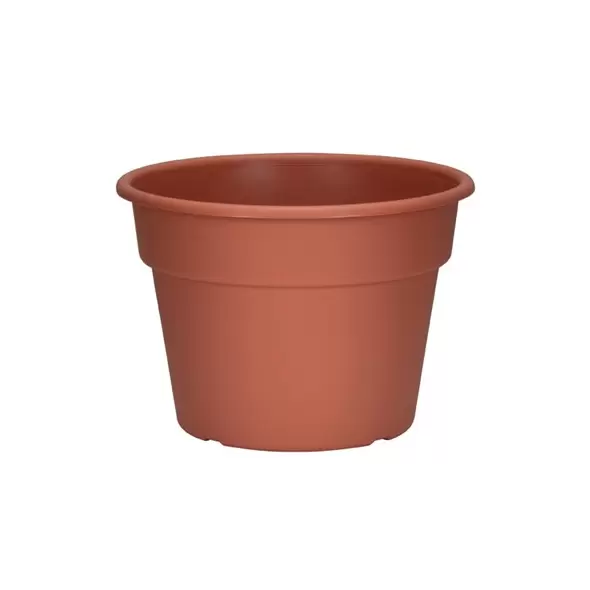 DLN 10.00 COLOR POT 1 CL 58/CS 32CS/PL