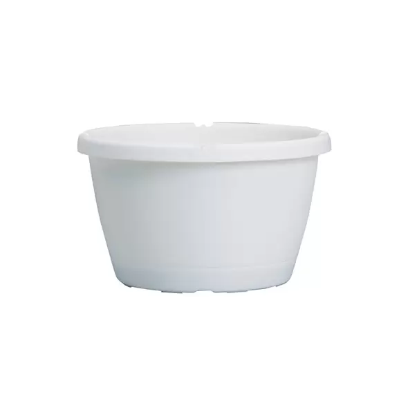 DLN 12.00 TRAD SL HB NO HGR WHT 50/CS 28CS/PL