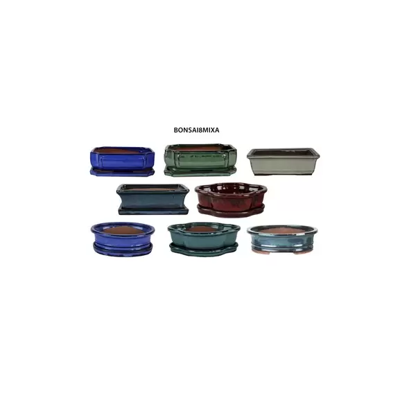 MCarr 8PC 8" Bonsai Planter Mixed Asst