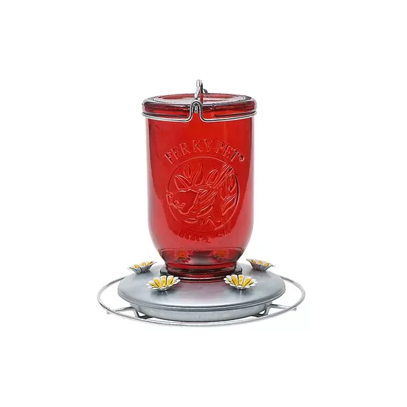 Perky Pet Red Mason Jar Hummingbird Feeder