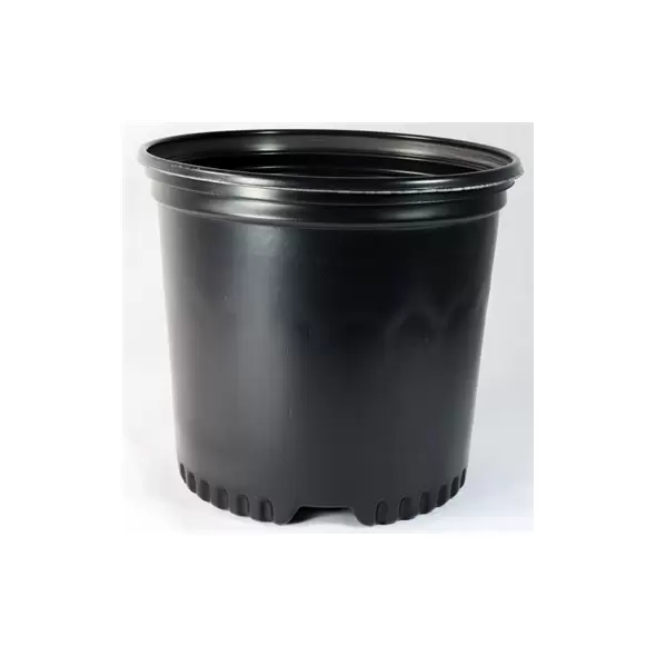 NS PF400CU, TRADE SIZE TRUE 1 GALLON, 1 GALLON, BLACK 85/BD 64/TOWER (7-1/2"X7-1/8"), 1Gallon