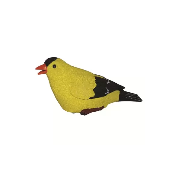 MCarr Goldfinch Chirper