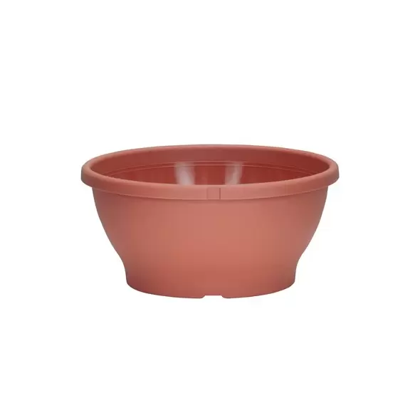 DLN 10.00 COLOR BOWL CL 82/CS 34CS/PL