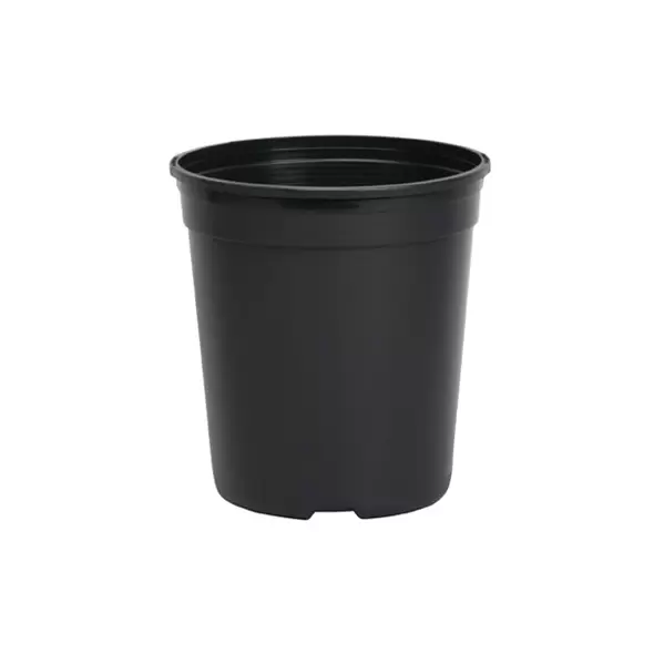 DLN TRADE 01.00GL TL T1G 2 BLK 128/CS 48CS/PL