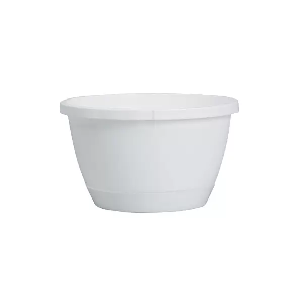 DLN 10.00 TRAD 2 WS HB NO HGR WHT 50/CS 36CS/PL