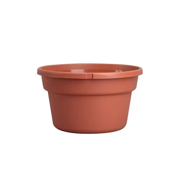 DLN 12.00 SL COLOR BSKT CL 25/CS 48CS/PL