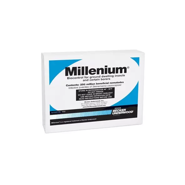 BASF Millenium 250 Mil Pack (Min 5 Packs Direct) ( Flea Larvae, Cutworms, Banana Moth, Weevils ) Steinernema carpocapsae