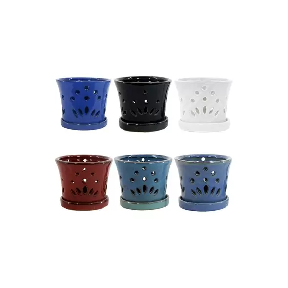 MCarr 12PC 5.1" Round Orchid Mixed Asst
