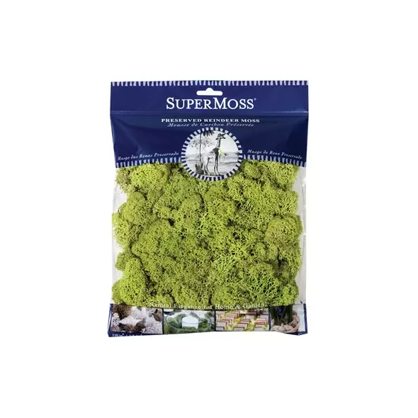 SuperMoss 120cu Bag Preserved Reindeer Moss Chartreuse