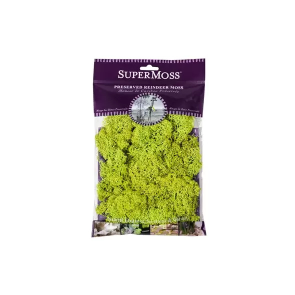 SuperMoss 2oz Reindeer Moss Chartreuse