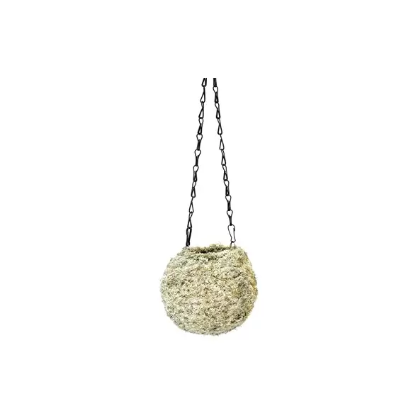 SuperMoss 6" Kokedama Blond Sphagnum Ball Planter