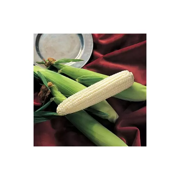 Corn, Silver King - 1/2lb