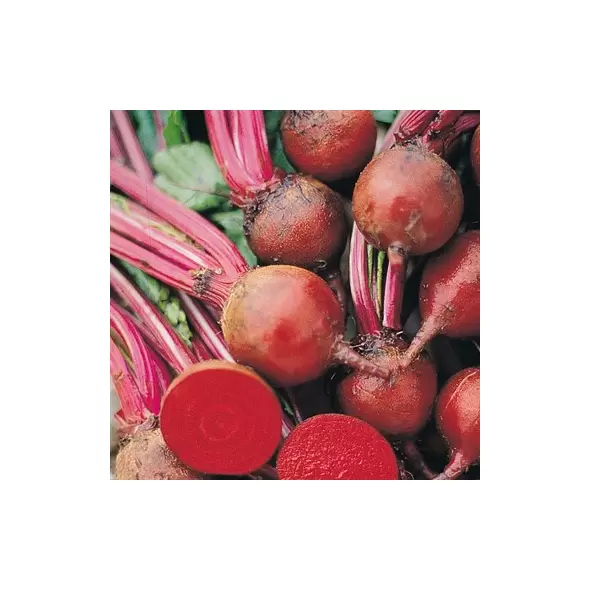 Beets, Detroit Dark Red - 1/2oz