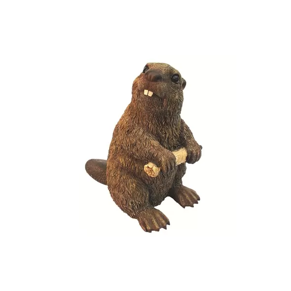 MCarr Beaver Medium