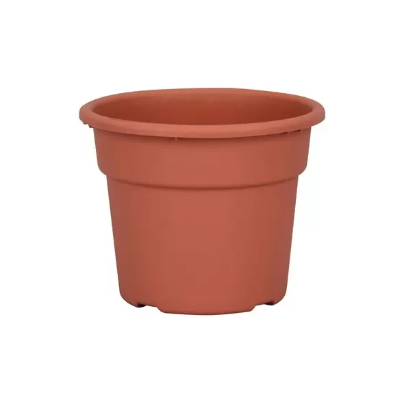 DLN 06.00 COLOR POT TL CL 98/CS SEASONAL 66CS/PL
