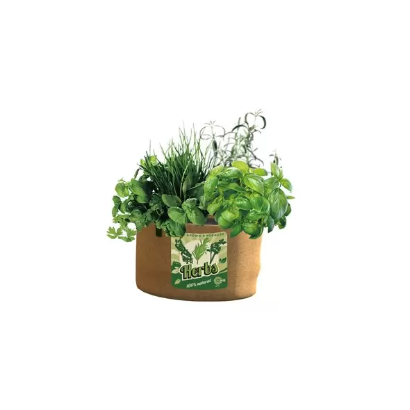 Panacea 5Gal Grow Bag Herbs