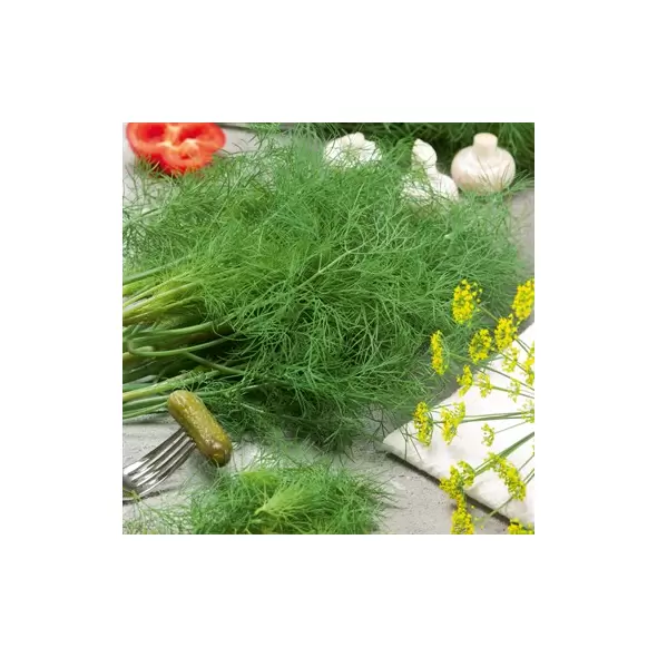 Dill, Fernleaf 1/2 oz