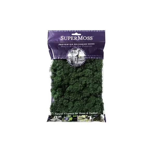 SuperMoss 2oz Reindeer Moss Forest