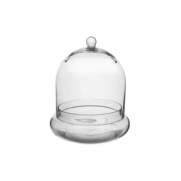 SSI 10" x 11 3/8" Terrarium Cloche