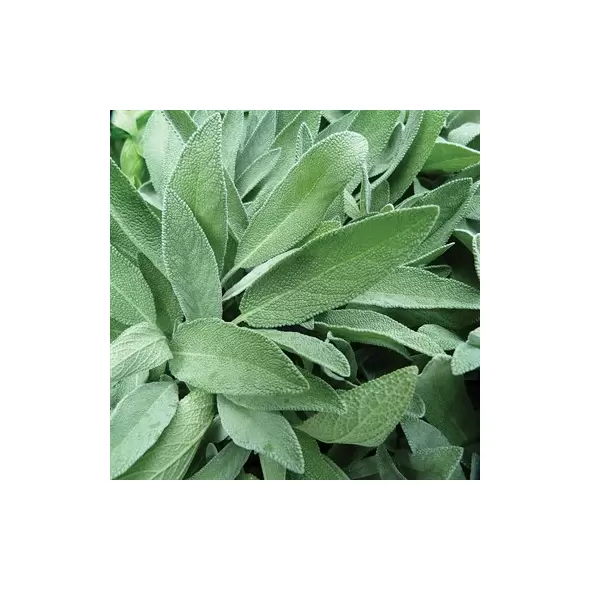 Sage 1 oz