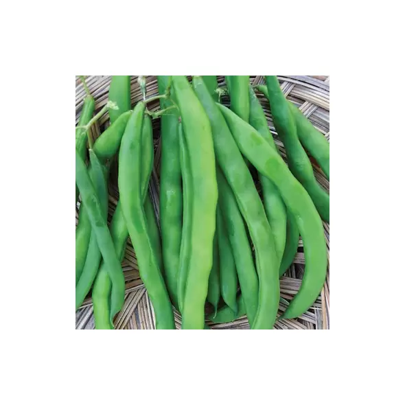 Beans, White Half Runner - 1lb