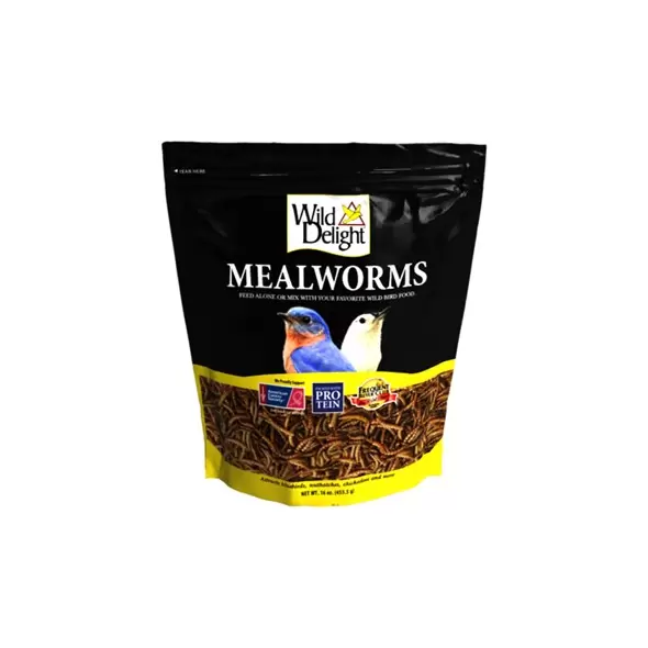 Wild Delight 16oz Mealworms