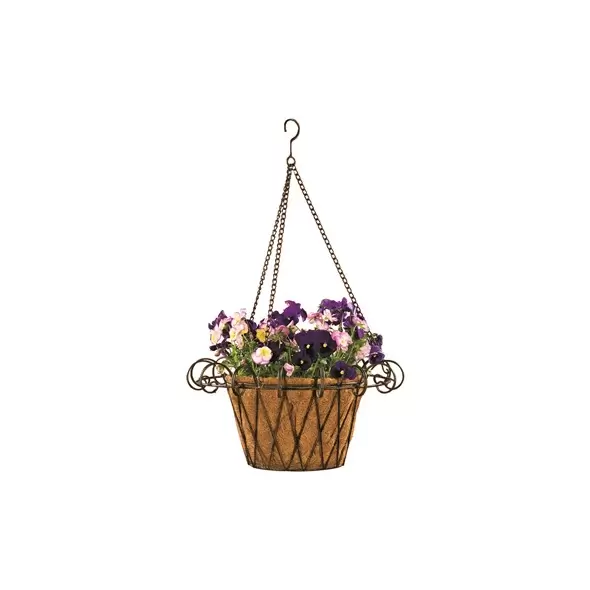 Deer Park French Hanging Basket With Coco Liner
