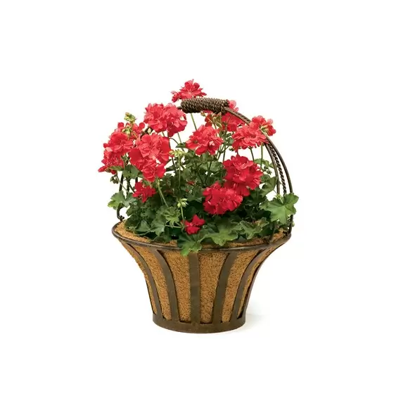 Deer Park Solera Basket With Coco Liner