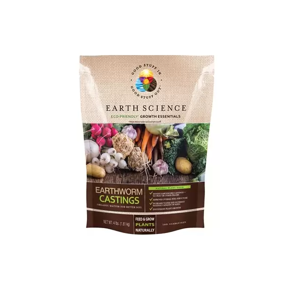 Earth Science 4