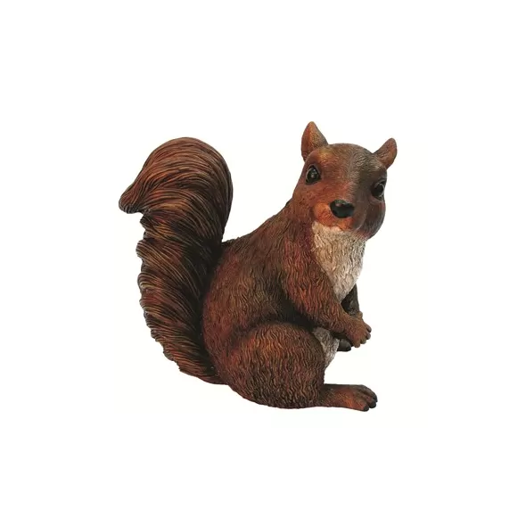 MCarr Squirrel