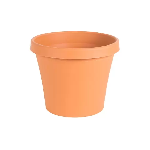 Bloem 10" TerraPot Terra Cotta