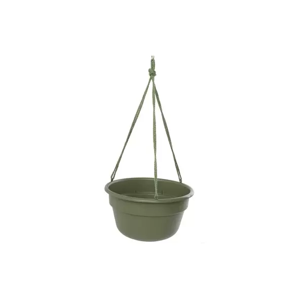 Bloem 12" Dura Cotta Hanging Basket Living Green