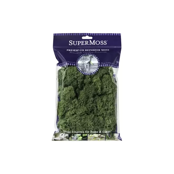 SuperMoss 2oz Reindeer Moss Basil