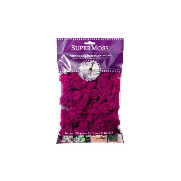 SuperMoss 2oz Reindeer Moss Fuchsia