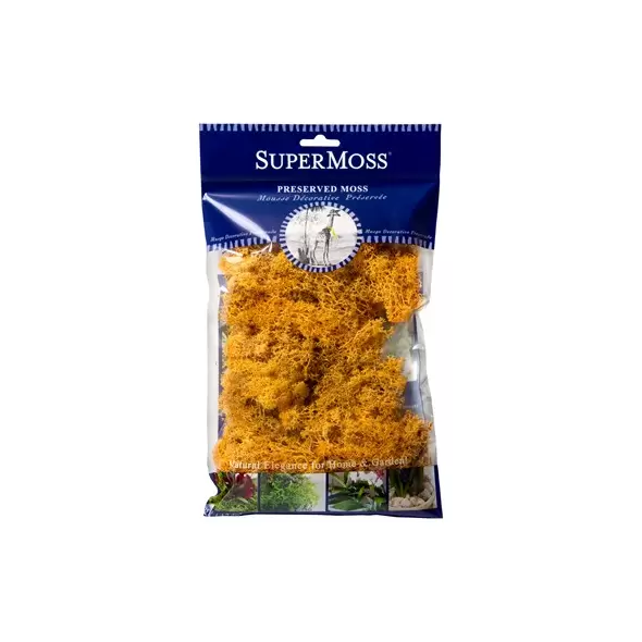 SuperMoss 2oz Reindeer Moss Mango