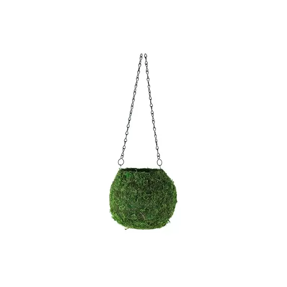 SSI 6" Kokedama Green Moss