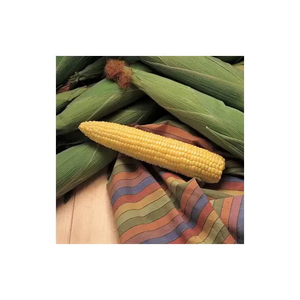 CORN, HONEY SELECT 4 OZ. EACH