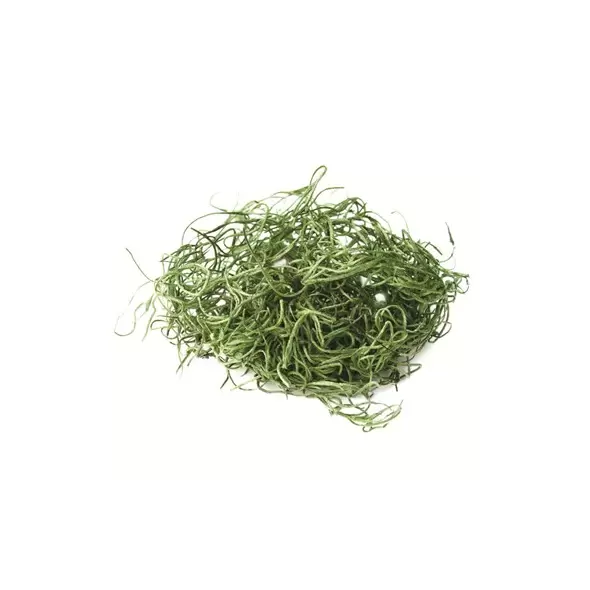 SuperMoss 32oz Spanish Moss Preserved Grass