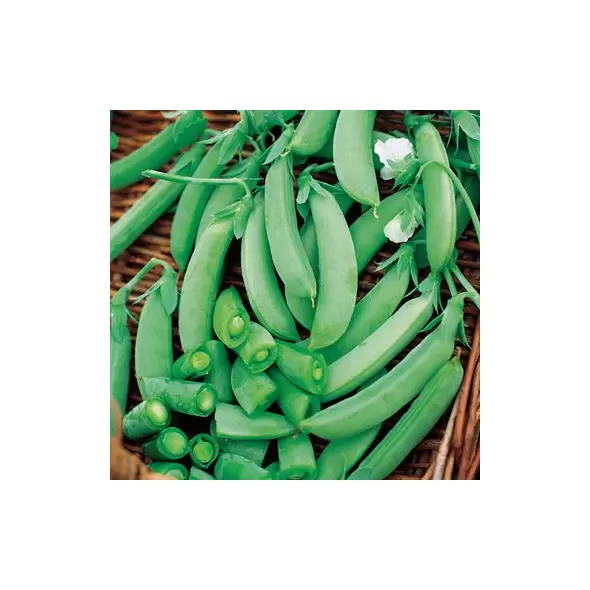 Peas, Sugar Snap - 50lb