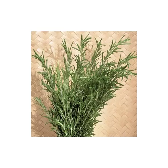 ROSEMARY - 1/2 OZ. EACH