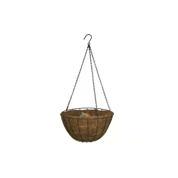 Panacea 14" Hanging Basket Green Growers