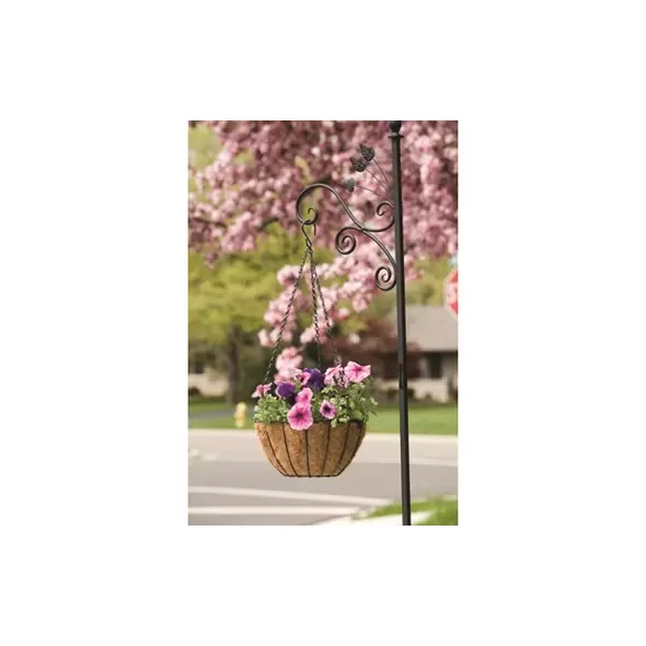 Panacea 16" Hanging Basket GR Growers