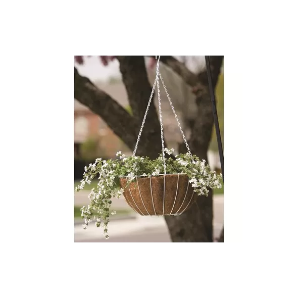 Pancea 14" Hanging Basket White Growers