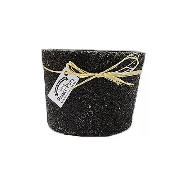 Exotic Pebbles Pots Black 6" Cache