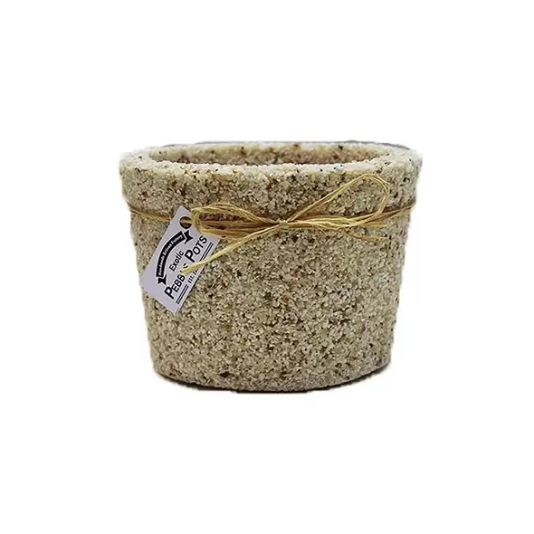 Exotic Pebbles Pots Alabaster 6" Cache