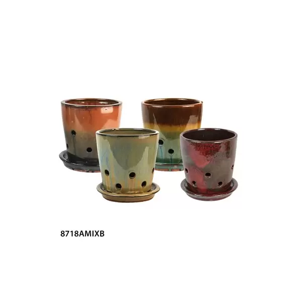 MCarr 12PC 5.5" Round Orchid Pot Mixed Asst