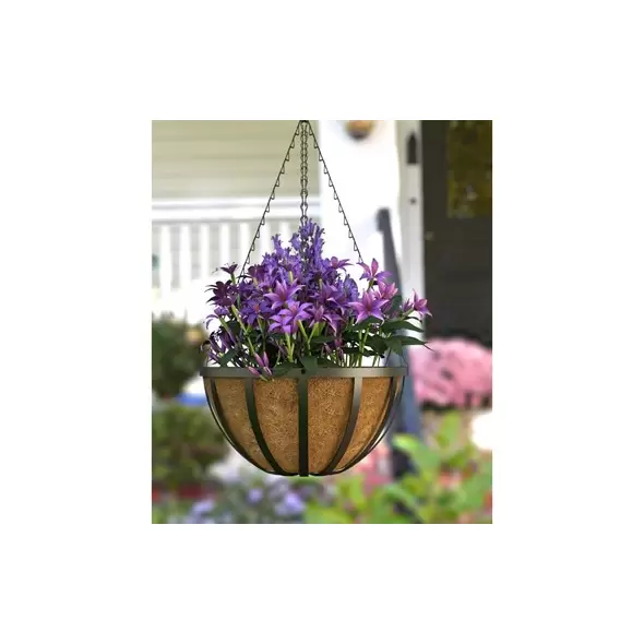 Panacea 12" English Hanging Basket W/ Coco Liner