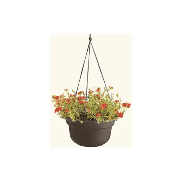 Bloem 12" Dura Cotta Hanging Basket Black