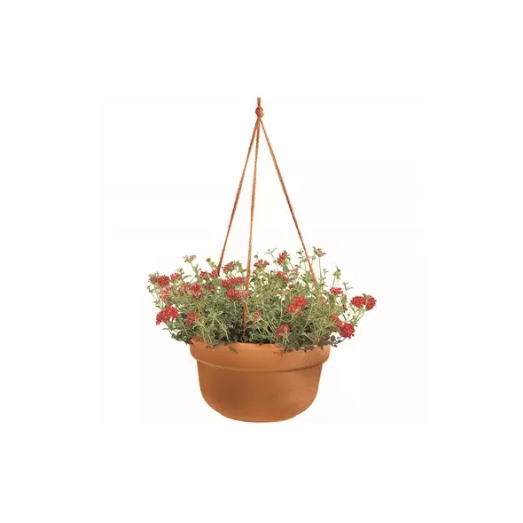 Bloem 12" Dura Cotta Hanging Basket Terra Cotta